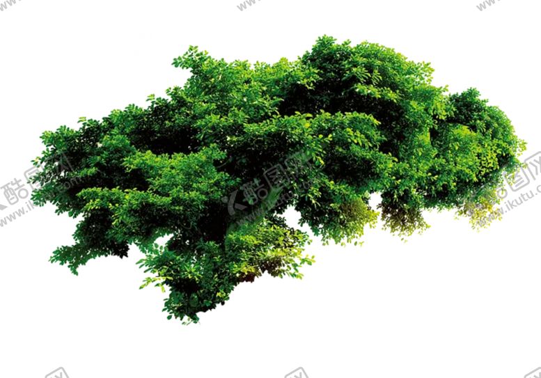 编号：92968909291815466651【酷图网】源文件下载-植物