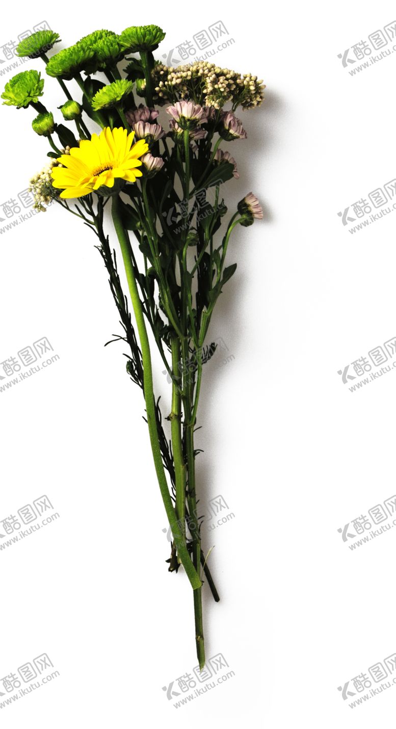 编号：92951610250449517134【酷图网】源文件下载-花枝