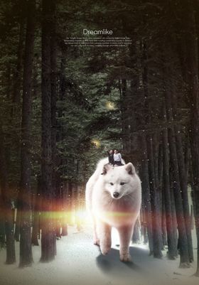 梦觉创意动物合成图片