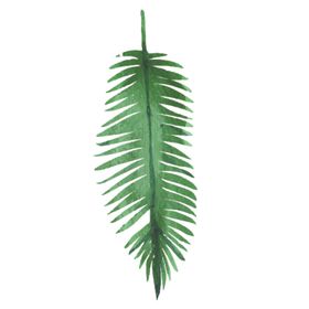 绿色水彩植物树叶