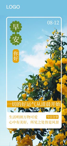 黄色盛开的花早安宣传问候图