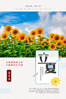 奶茶立夏海报