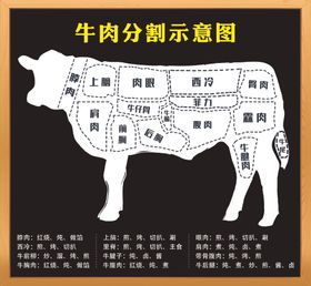 新牛肉分割图