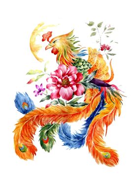 水彩凤凰