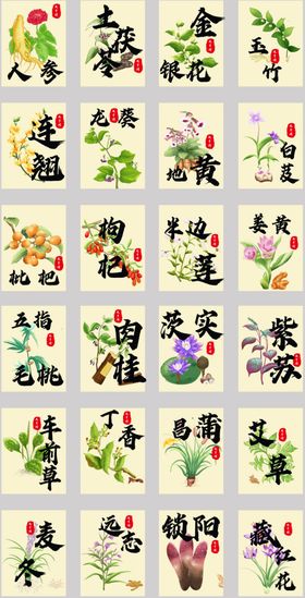中草药手绘养生馆牌医馆