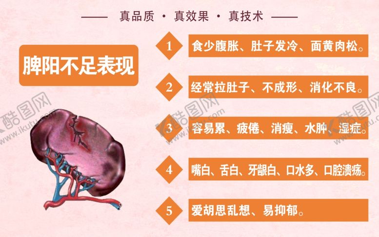编号：25122704191423434192【酷图网】源文件下载-脾脏