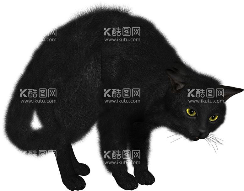 编号：96567412100723343236【酷图网】源文件下载-黑猫