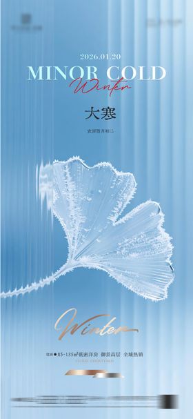 地产大寒质感节气海报