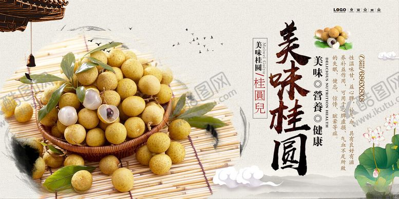 编号：33678510161156575161【酷图网】源文件下载-美味桂圆养生食品宣传海报