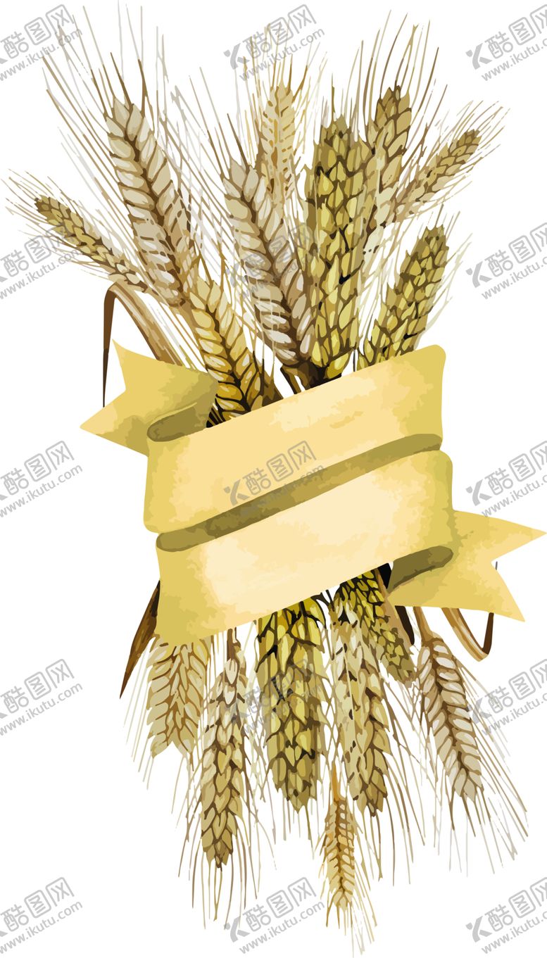 编号：13951807061038061850【酷图网】源文件下载-透明小麦png素材