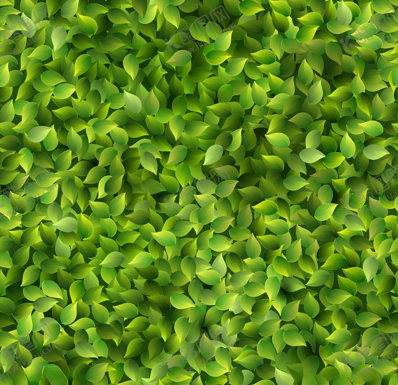 编号：15868509291502245879【酷图网】源文件下载-树叶背景