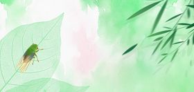 立夏节气浅绿色肌理风背景