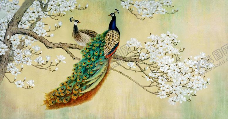 编号：13652707071519409416【酷图网】源文件下载-孔雀梨花白色花朵