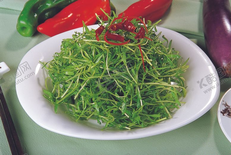 编号：20328809201557207563【酷图网】源文件下载-家常菜美食