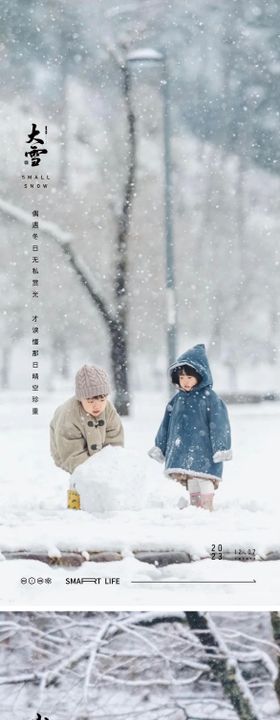 地产小雪大雪冬至雪花风景海报