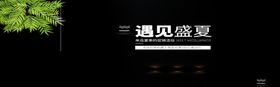 遇见盛夏