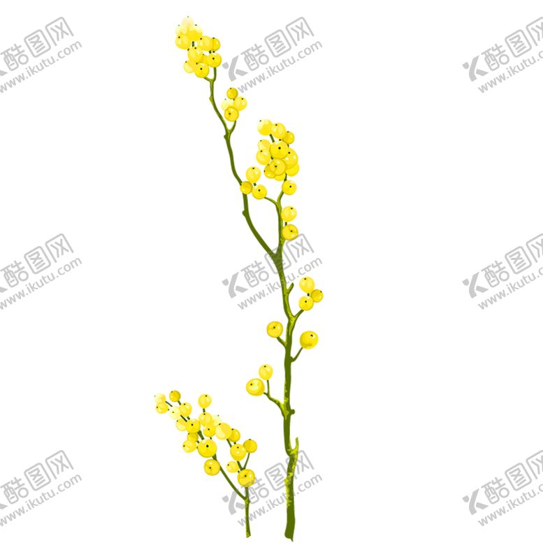 编号：35704609270024551148【酷图网】源文件下载-花素材