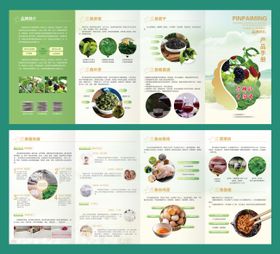 桑叶蚕丝产品折页农产品