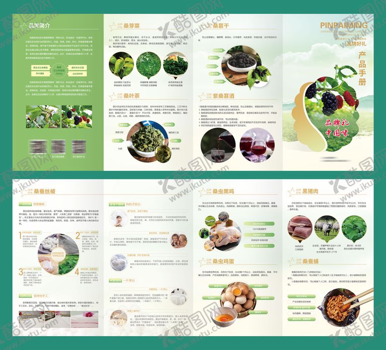 编号：41046211131727542166【酷图网】源文件下载-桑叶蚕丝产品折页农产品