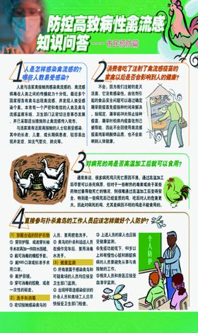 禽流感知识问答