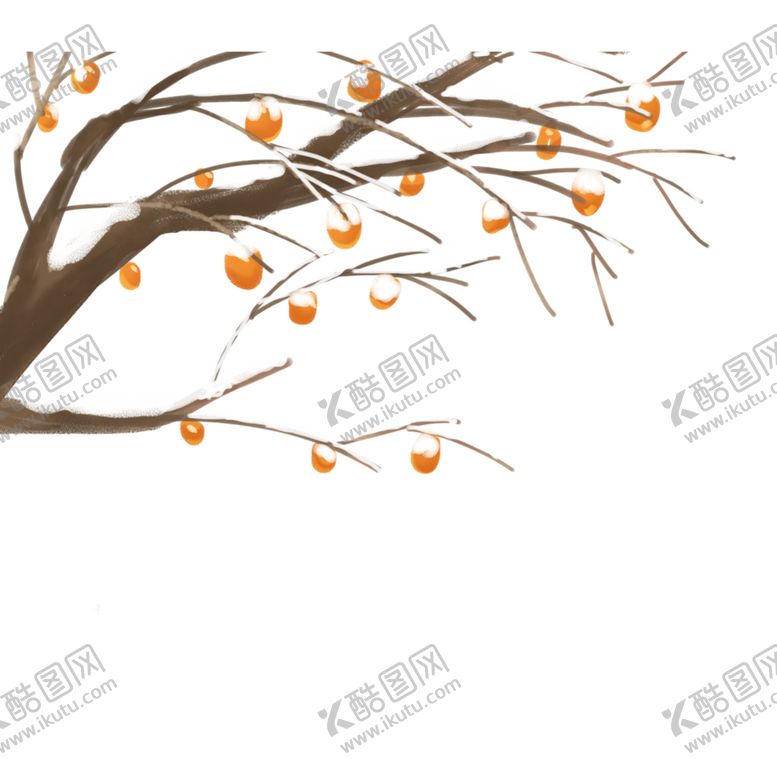 编号：63053509140157244716【酷图网】源文件下载-冬季柿子素材