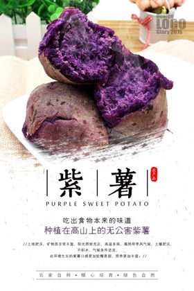 特产海报