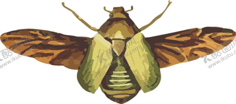 编号：16035007141814194534【酷图网】源文件下载-甲虫昆虫插画