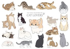 卡通猫表情包图片