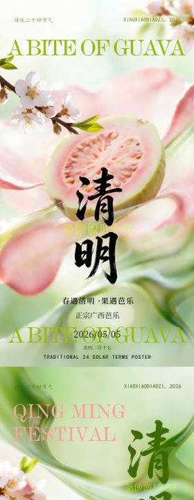 春遇清明芭乐相逢