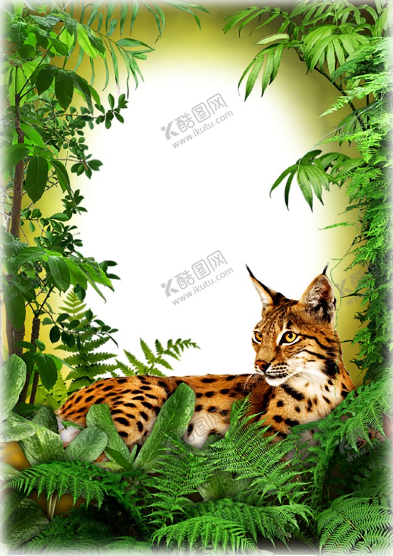 编号：53448209131551394735【酷图网】源文件下载-边框相框