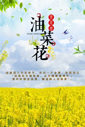 徽州春季油菜花旅游海报