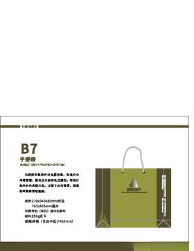VI样机