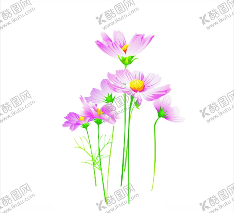 编号：86775609270405059026【酷图网】源文件下载-荷花