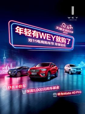 年轻有WEY