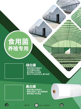 海报彩页绿色