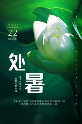 处暑传统节日活动宣传海报
