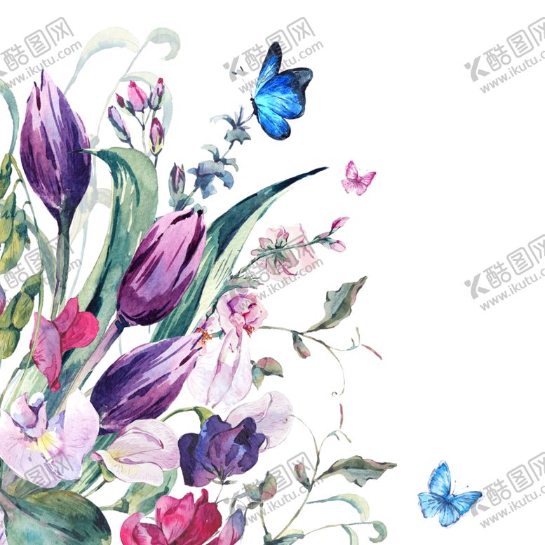 编号：31363210110813269601【酷图网】源文件下载-蝴蝶花