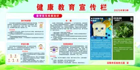 健康教育宣传栏展示