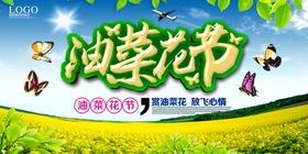 油菜花