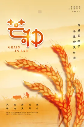 芒种海报
