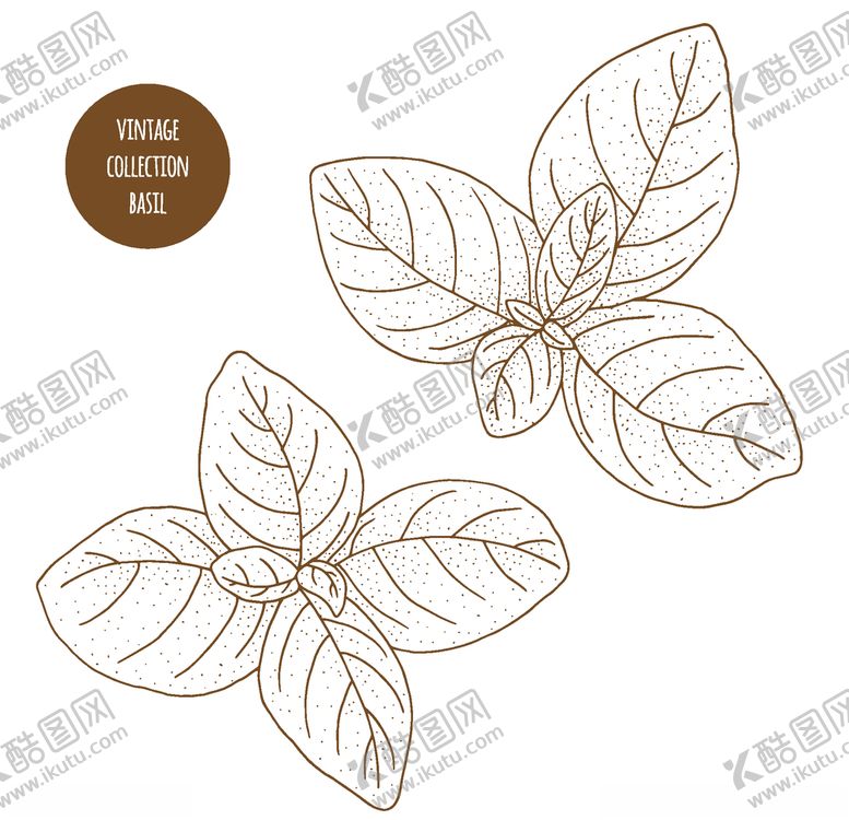 编号：42040509291135525669【酷图网】源文件下载-植物线稿