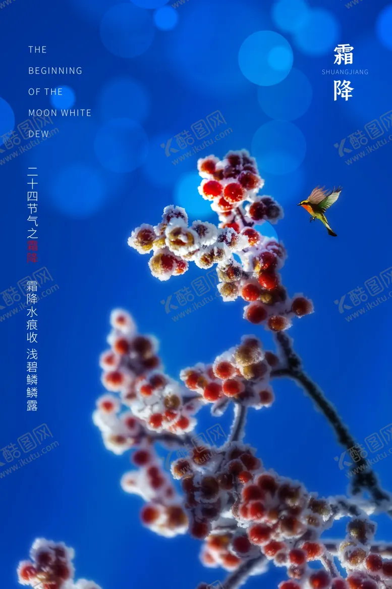 编号：81435805150138371962【酷图网】源文件下载-霜降海报