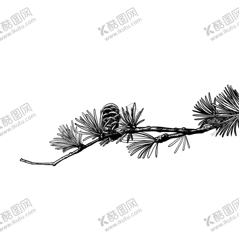 编号：37181305150836556351【酷图网】源文件下载-水墨中国风迎客松