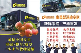 南果梨传单