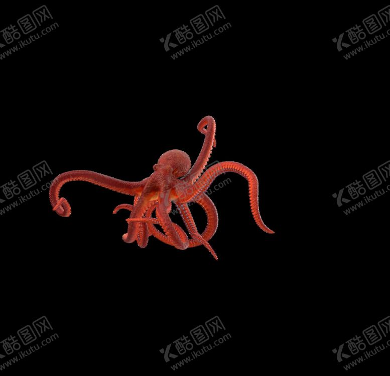 编号：34480810190643473198【酷图网】源文件下载-海洋生物