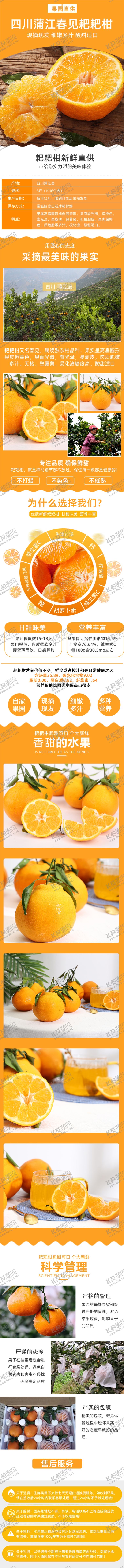 编号：96433310161505552090【酷图网】源文件下载-耙耙柑详情
