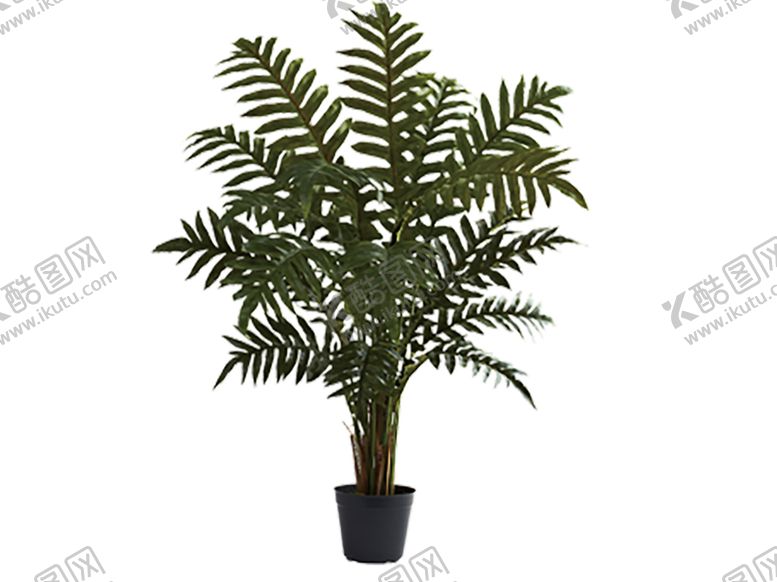 编号：21647310052329283610【酷图网】源文件下载-绿色植物