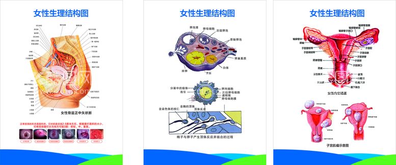 编号：23889112161219197076【酷图网】源文件下载-医院宣传