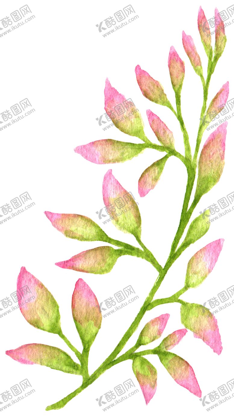 编号：31372509120612241740【酷图网】源文件下载-手绘植物