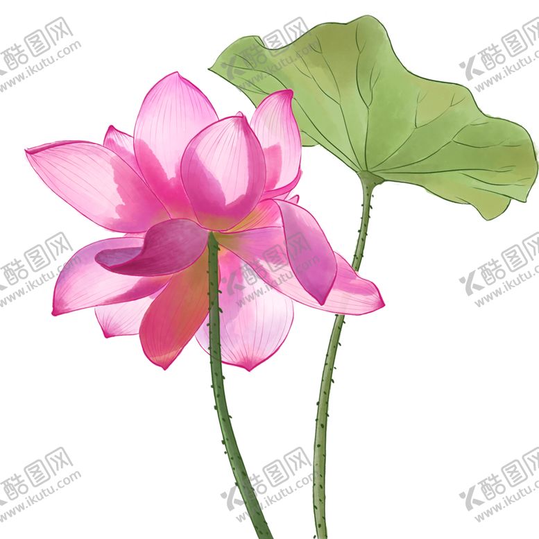 编号：14152604211851043604【酷图网】源文件下载-荷花元素